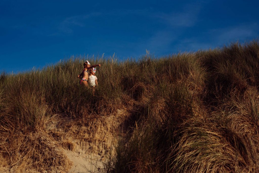 Twee eenhoorns in de duinen